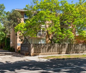 Light-Filled 1 Bedroom Apartment in Prime Armadale Location - Photo 2