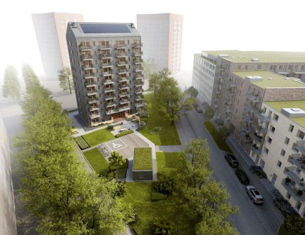 Mandolingatan 13 - Photo 1