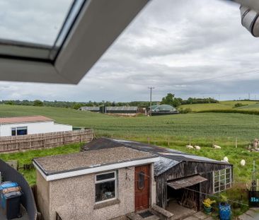 13 Tullywiggan Cottages, Cookstown, BT80 8SF - Photo 5