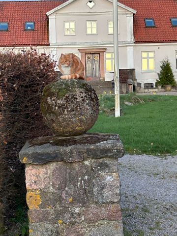 Asmundtorpsgården, Eslöv - Foto 2