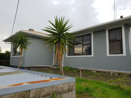 Ready In Ranch - Mt Maunganui - Photo 3