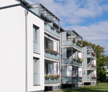 Exklusives Wohnen in Fallersleben – Stilvolle 2-Zimmer-Wohnung mit ... - Foto 1