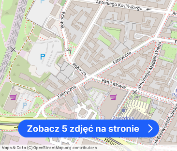 Ładna kawalerka w zrewitalizowanej kamienicy (Wilda) - Zdjęcie 1