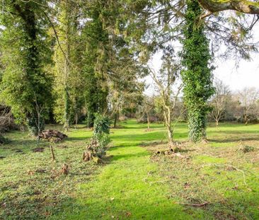 3 bedroom detached house to rent - Photo 6