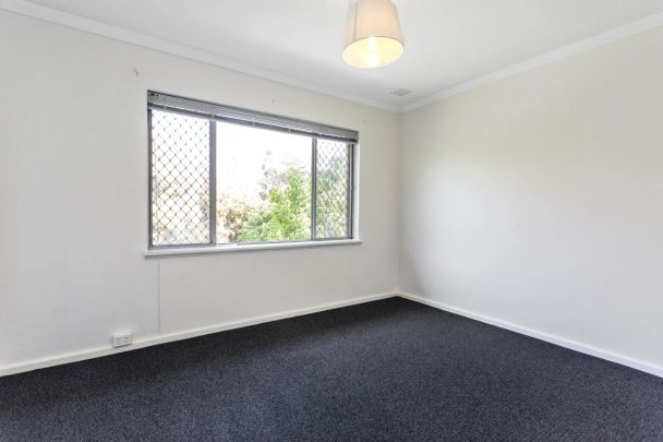 MORNING WALKS BY THE RIVER - Photo 1