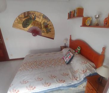 Noja - Foto 2