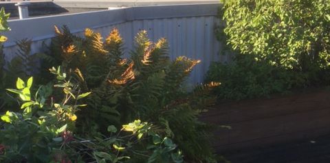 Klostergatan, Linköping - Foto 2