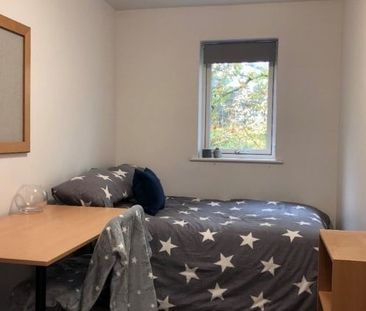 Room in a Shared Flat, Bevois Valley Road, SO14 - Photo 6