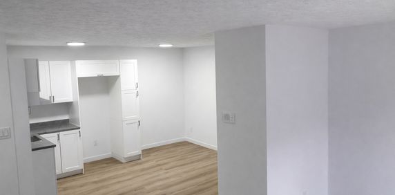 BEAU 4 1/2|RÉNOVATION RÉCENTE| - Photo 2