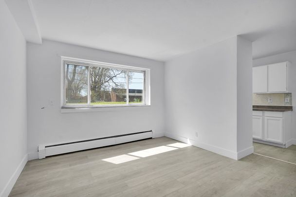 For Lease - 852 Trafalgar Street Unit# 3, London East, Ontario - Photo 1