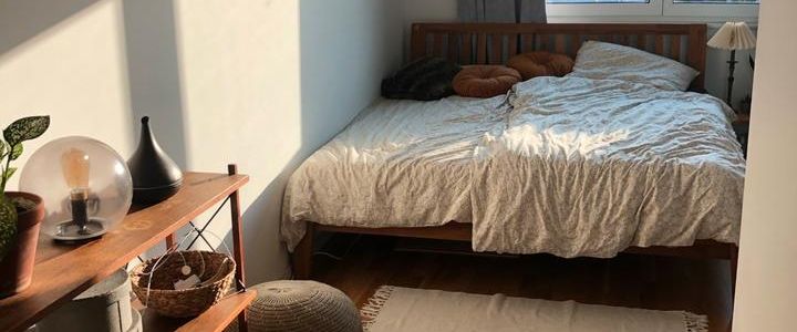 Zimmer in meiner Wohnung - Photo 1