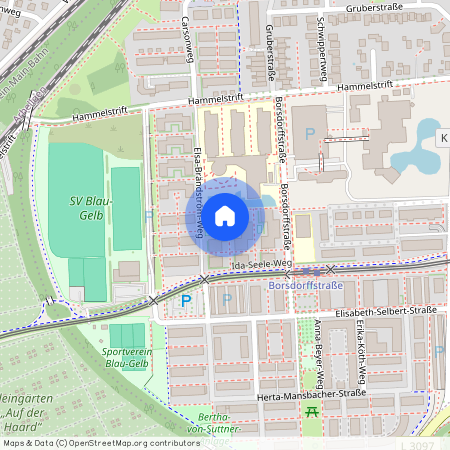 Borsdorffstraße, 30, 64289, Darmstadt