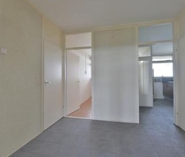 Perim 0ong, 1503 Zaandam, Nederland - Foto 4