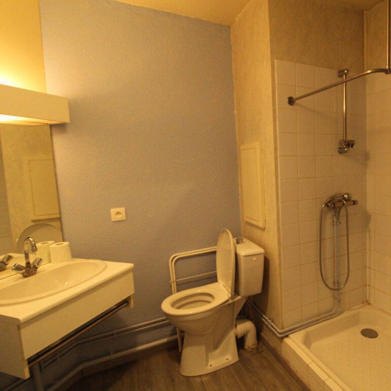 Location appartement 1 pièce 18.84 m² à Lille (59800) - Photo 1