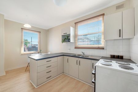 64 Forrestall Road, Elizabeth Downs SA 5113 - House For Rent | Domain - Photo 4