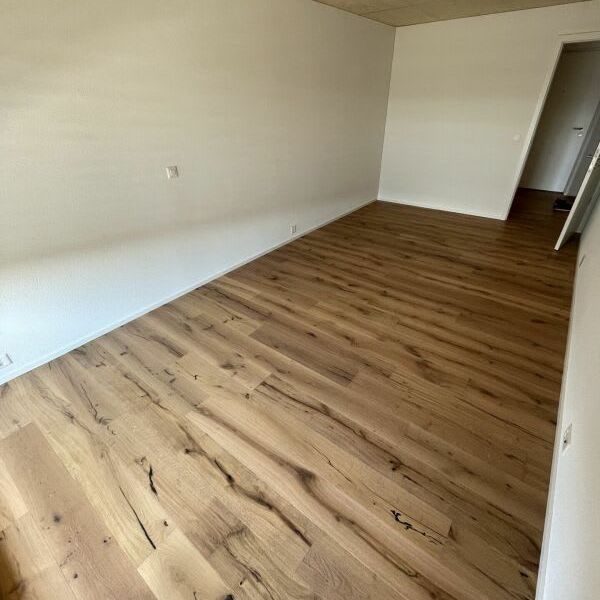 2.5 Zimmer, 50 m², 1. Stock - Foto 1