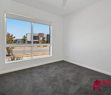 26 Toeplitz Street, Whitlam ACT 2611 - House For Rent | Domain - Photo 4