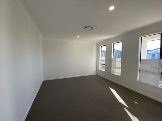 Large Modern Family Home with Spacious Backyard! - Photo 1