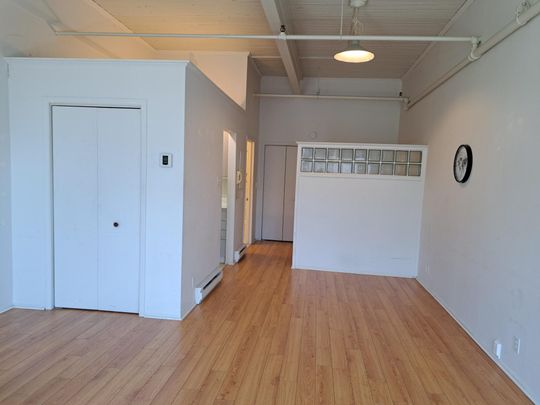 Le 1850 Saint-Antoine, St-Hyacinthe - Photo 1