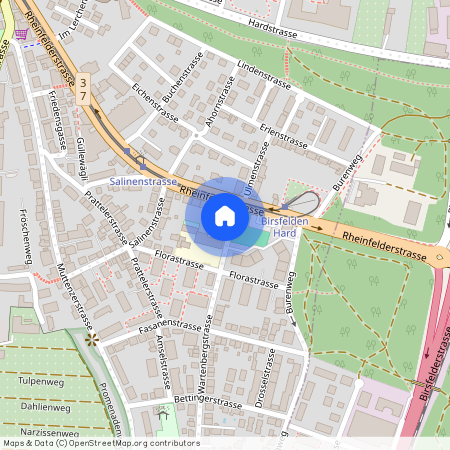 Wartbergstr, 49, 4127 Birsfelden