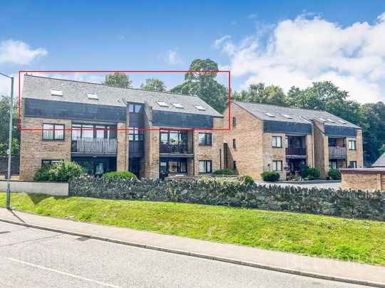9 Millvale Court, Hillsborough, BT26 6JZ - Photo 1