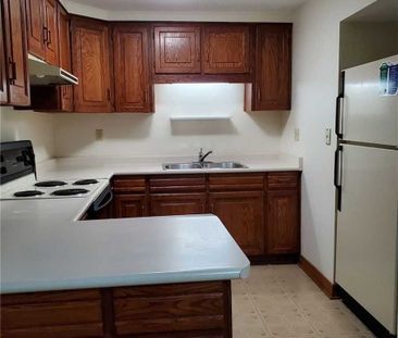 For Lease - 7 Morning Star Drive Unit# Bsmt, Vaughan, Ontario - Photo 4