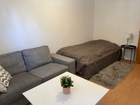 Rapphönsvägen, Uppsala - Photo 4