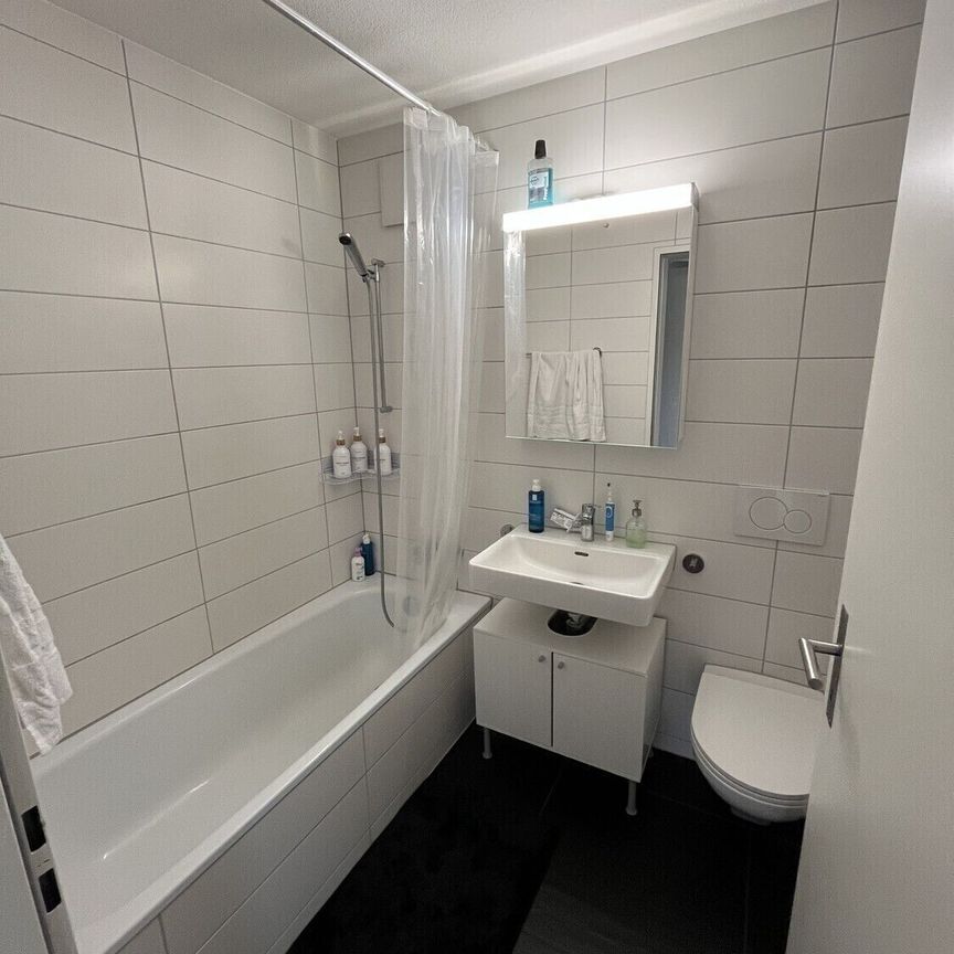 APPARTEMENT DE 2 PIÈCES À SCHLIEREN (ZH), MEUBLÉ, TEMPORAIRE - Photo 1