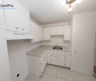 880 Grandjean - Photo 2