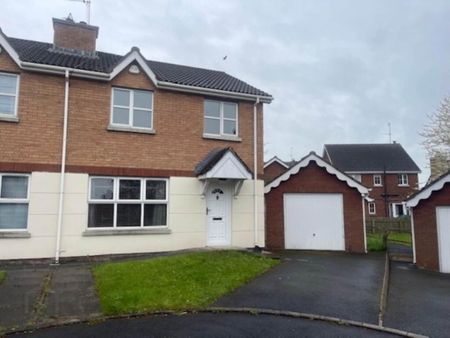 164 Kernan Hill Manor, Portadown, Craigavon, BT63 5WU - Photo 4