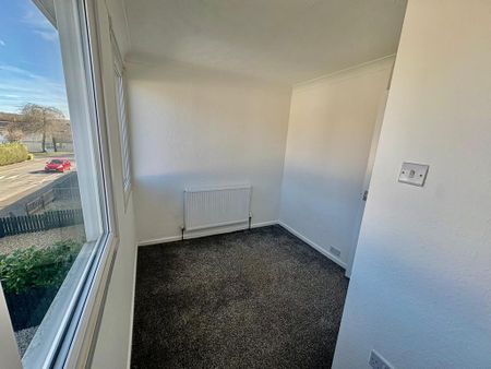 3 bedroom house to rent - Photo 3