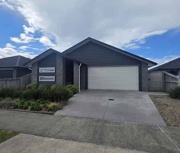 Dive into Dunkeld - Photo 2