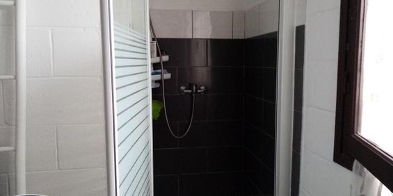 Location Appartement 3 pièces 56m² ST GILLES LES BAINS 97434 - Photo 3