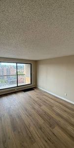 Brand New Kitchen--2 Bedroom Beltline Condo! - Photo 4