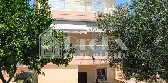 Μονοκατοικία για ενοικίαση Κοκκώνι (Βέλο) - Φωτογραφία 2