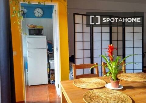 santa_cruz_de_tenerife, Canary Islands 38400