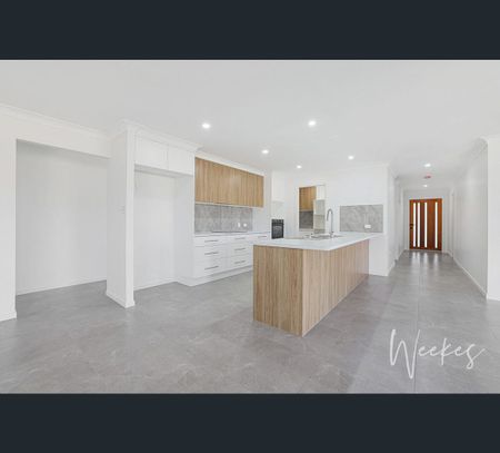 17 Wilson Street, Kepnock, Qld 4670 - Photo 2