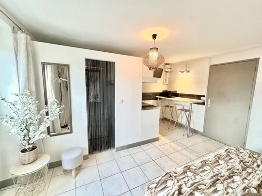 Location Appartement 1 pièce 15m² GRENOBLE 38000 - Photo 1