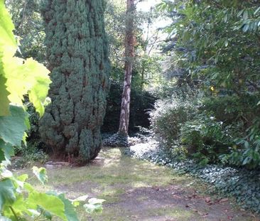 WunderschÃ¶ne, sonnige 2-Zimmerwohnung in OkernÃ¤he und Inselwall - Photo 3