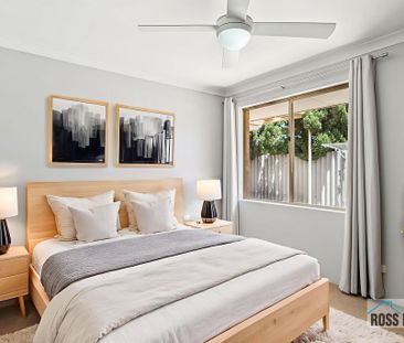 Neat & Tidy - Photo 5