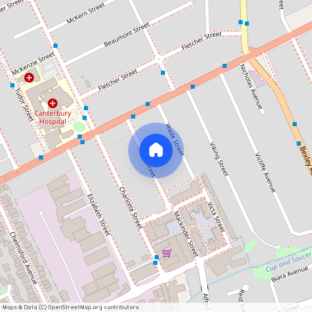 12A Troy Street, NSW 2194, Campsie