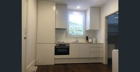 Fully Furnished Studio All Bills included in Bellevue Hill - Photo 3