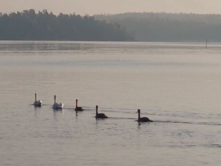 Björnhuvudvägen, Åkersberga - Foto 5