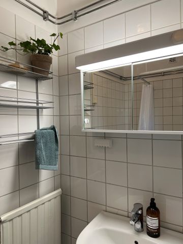 Västra Hagagatan, Hässleholm - Photo 3