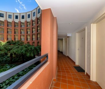 One Bedroom Apartment - In the Heart of the City! - Photo 1