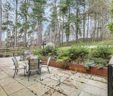 4 bedroom semi-detached house to rent - Photo 4