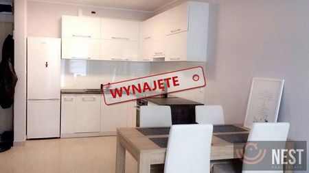 Do wynajęcia apartament 41m2 ul. Potulicka - Photo 5