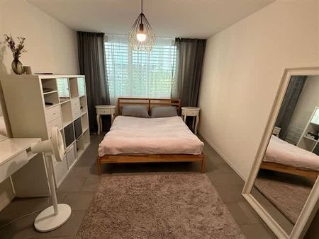 2.5 Zimmer, EG - Photo 3
