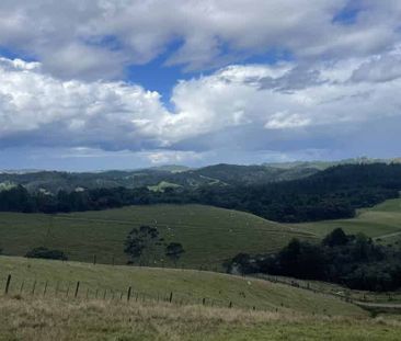 Make Rural Hikurangi your new Home - Photo 4