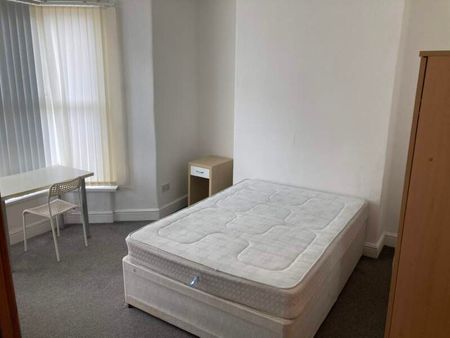 Large Ground Floor Room – Brynmill - Photo 2